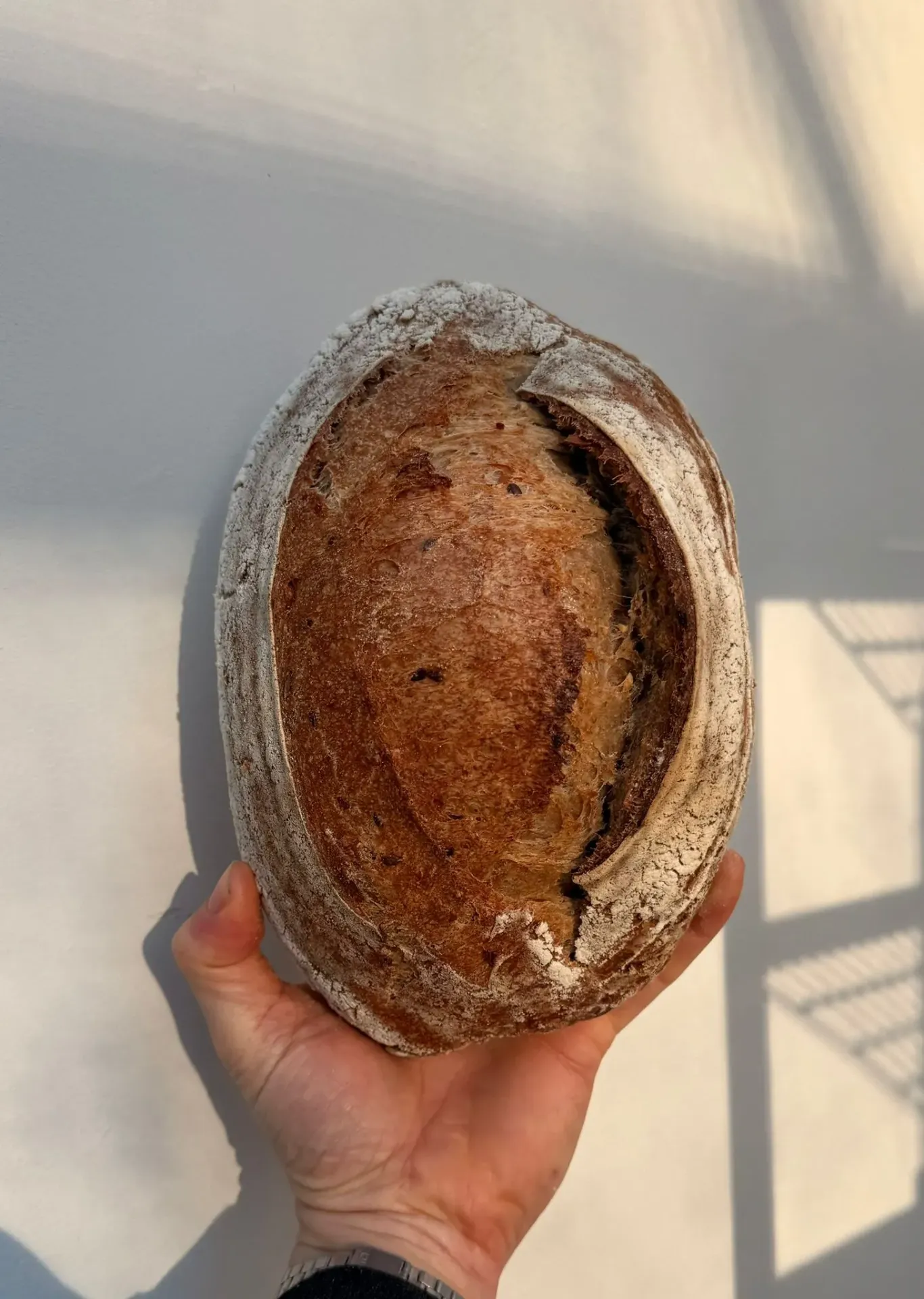 Meergranen brood 800g (Vrijdag 8u–14u)